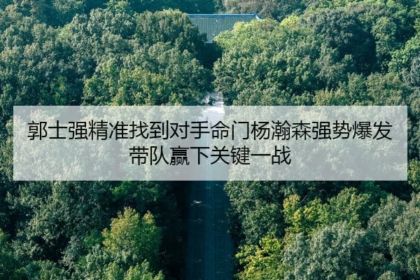 郭士强精准找到对手命门杨瀚森强势爆发带队赢下关键一战